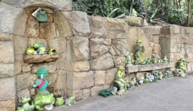 The Frog Wall Has Been Freshened Up