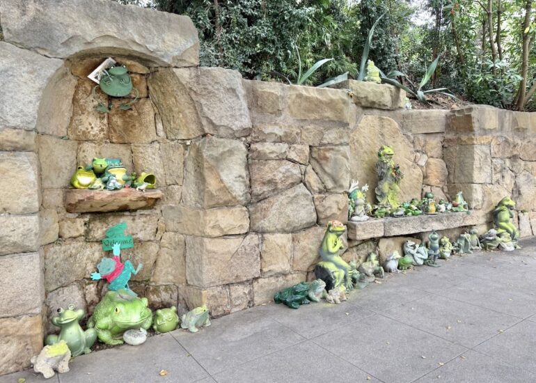 The Frog Wall Has Been Freshened Up