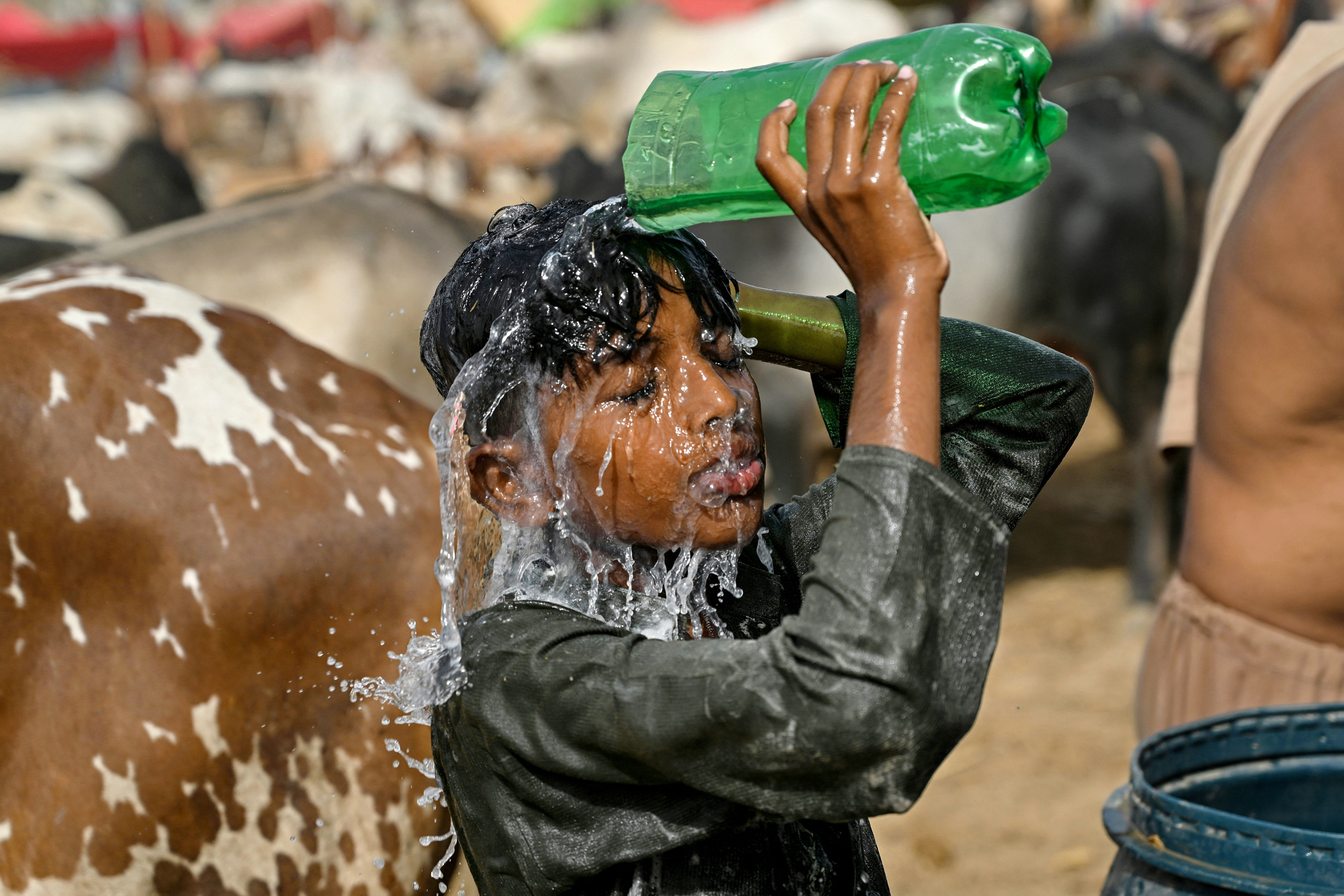 A child pours water over himself to cool off during a heat wave at a cattle market in Karachi on May 31. Credit: Rizwan Tabassum/AFP via Getty Images
