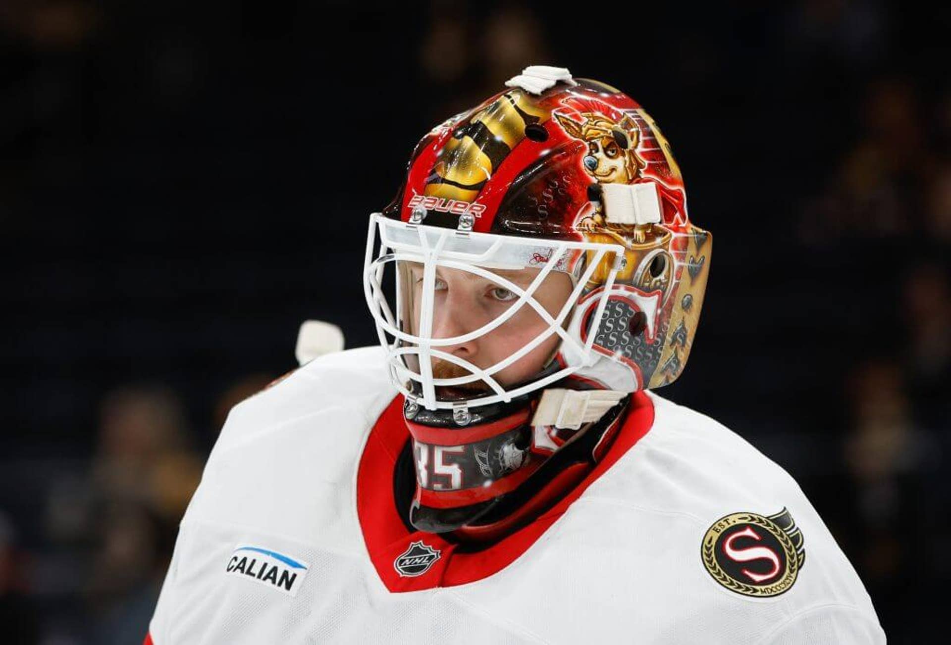 Linus Ullmark of the Ottawa Senators warms up prior to a game against the Boston Bruins.