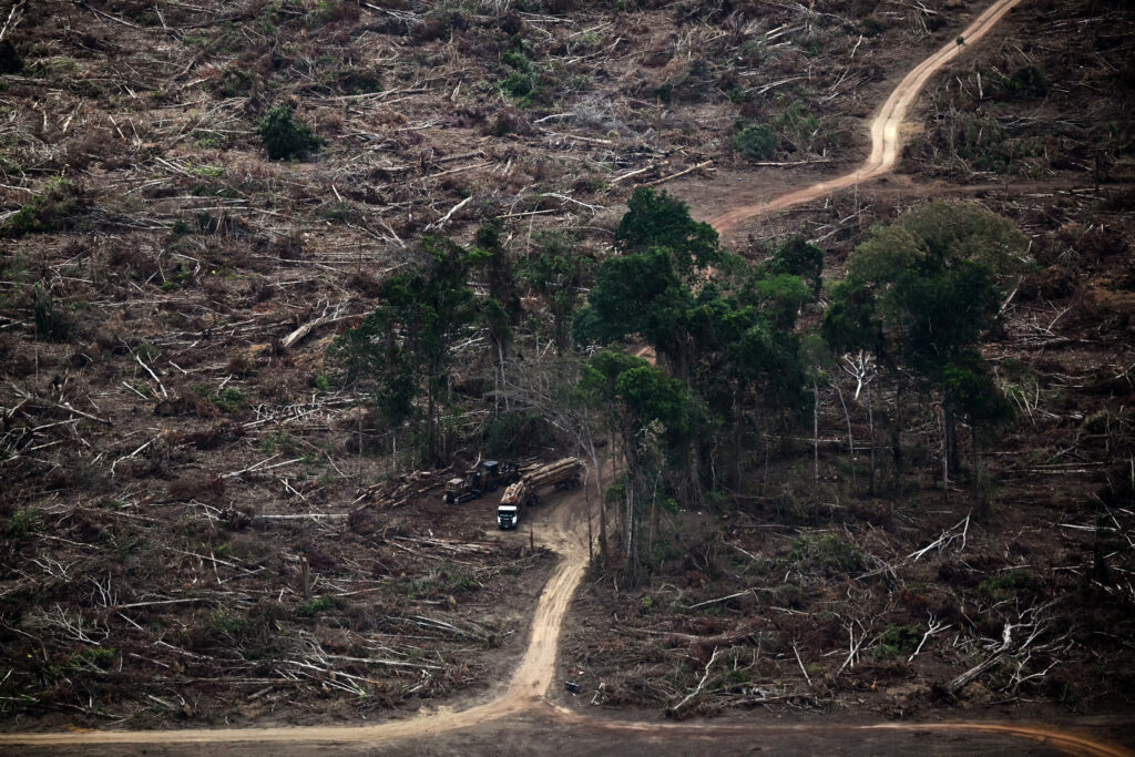 Trucks carry wood from a deforested area of the Amazon rainforest on Nov. 12 near Belem, Brazil. Credit: Mauro Pimentel/AFP via Getty Images