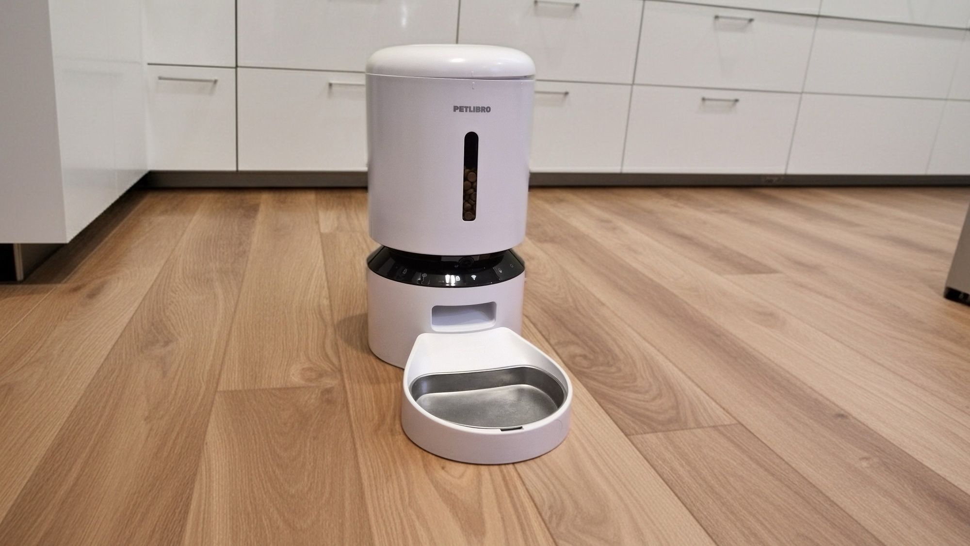 Ask Photos photo samples.