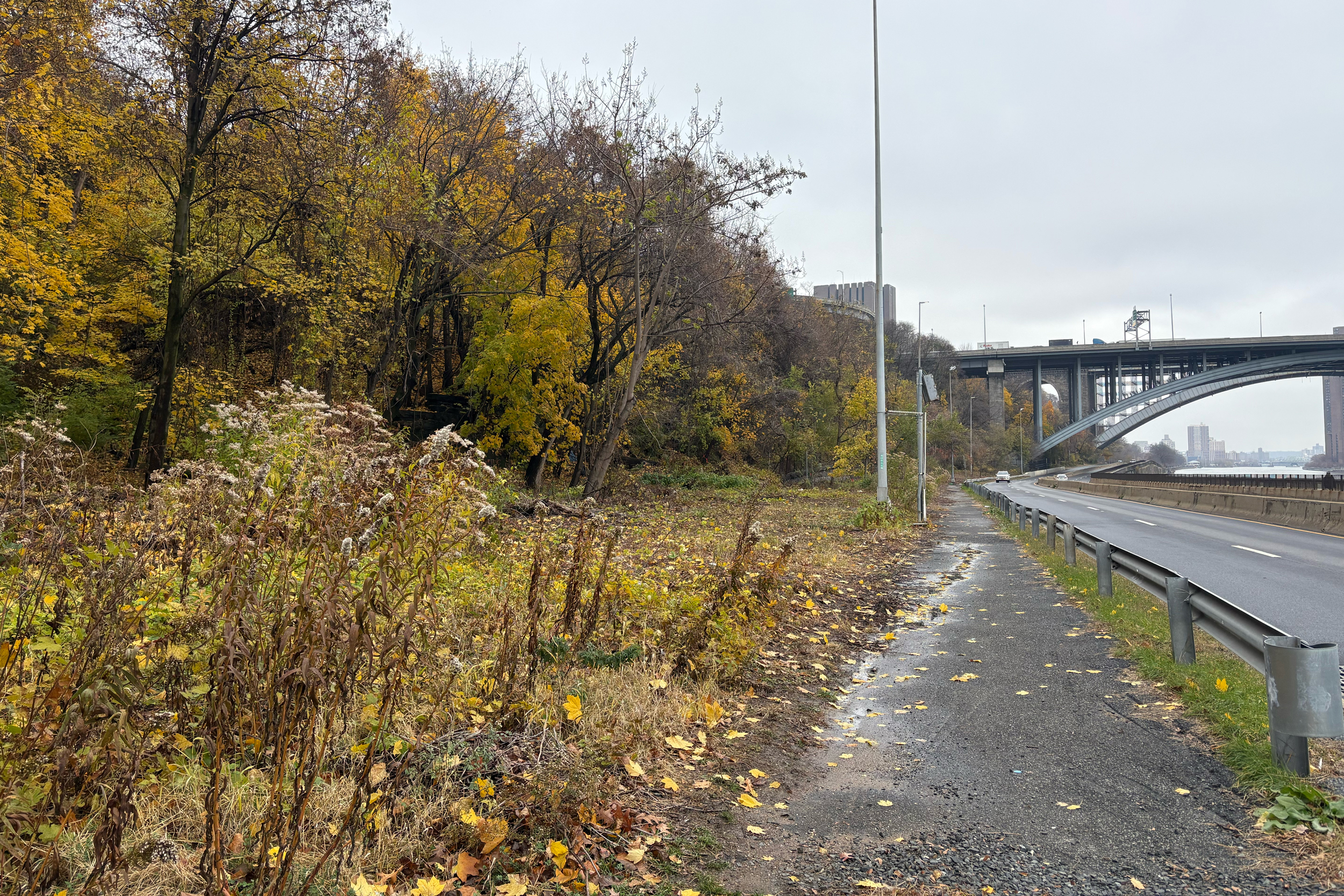 The New York Restoration Project will restore a section of Highbridge Park that borders Harlem Drive. Credit: Lauren Dalban/Inside Climate News