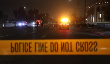 Two vehicle crash leaves one person injured – The Collegian