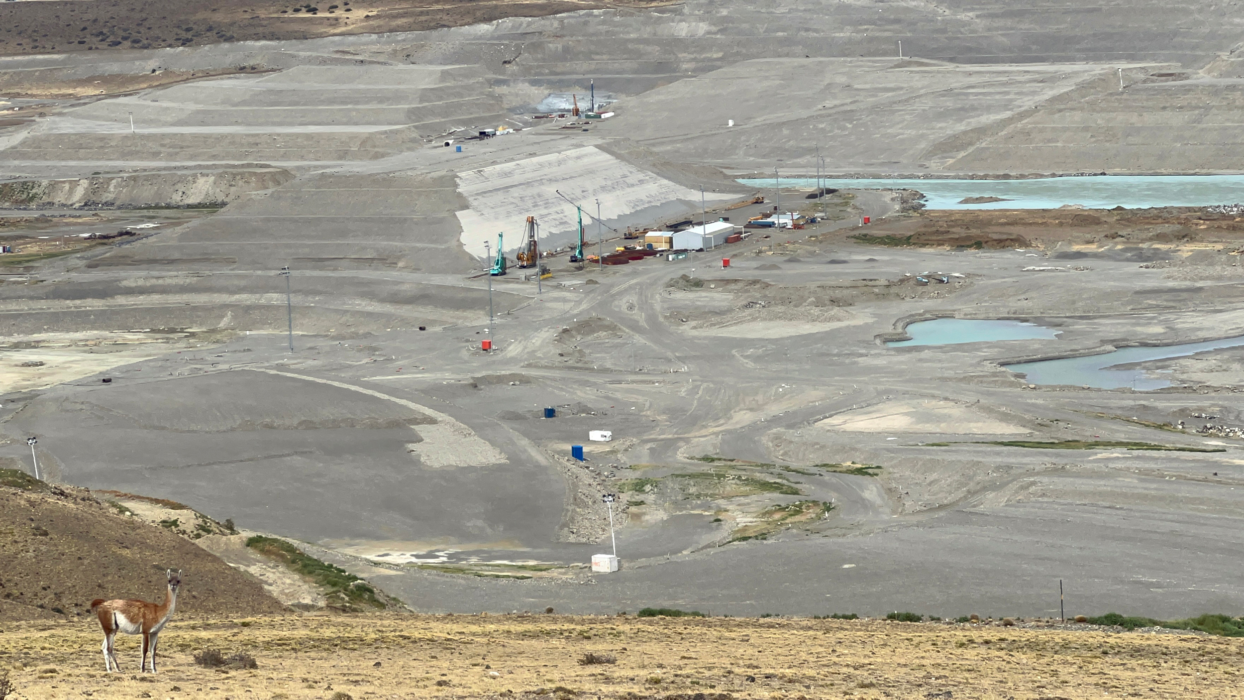 A wild guanaco stands before the halted construction site of the Néstor Kirchner (Condor Cliff) dam on Feb. 1 in Argentina. Credit: Katie Surma/Inside Climate News