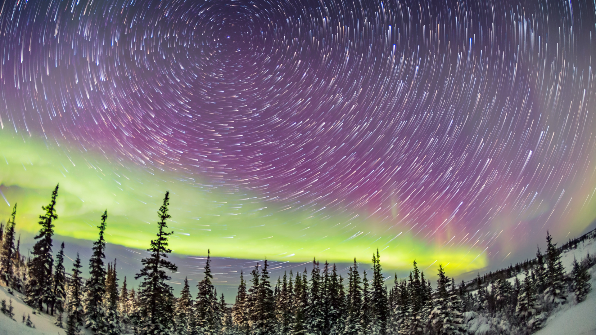 Star trails circle the north star Polaris in the night sky over a snowy woodland scene, as green aurora light up the horizon.