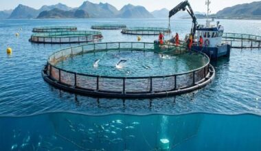 Fish Farming