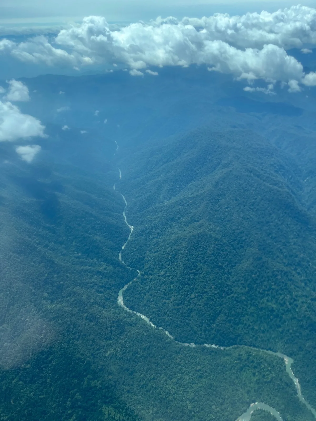 Lowland River valley in the Leuser Ecosystem