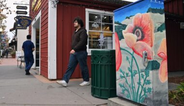 Novato seeks artists to paint more utility boxes