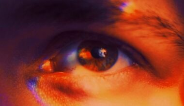 Is The Y Chromosome Vanishing? A New Sex Gene May Be The Future of Men : ScienceAlert