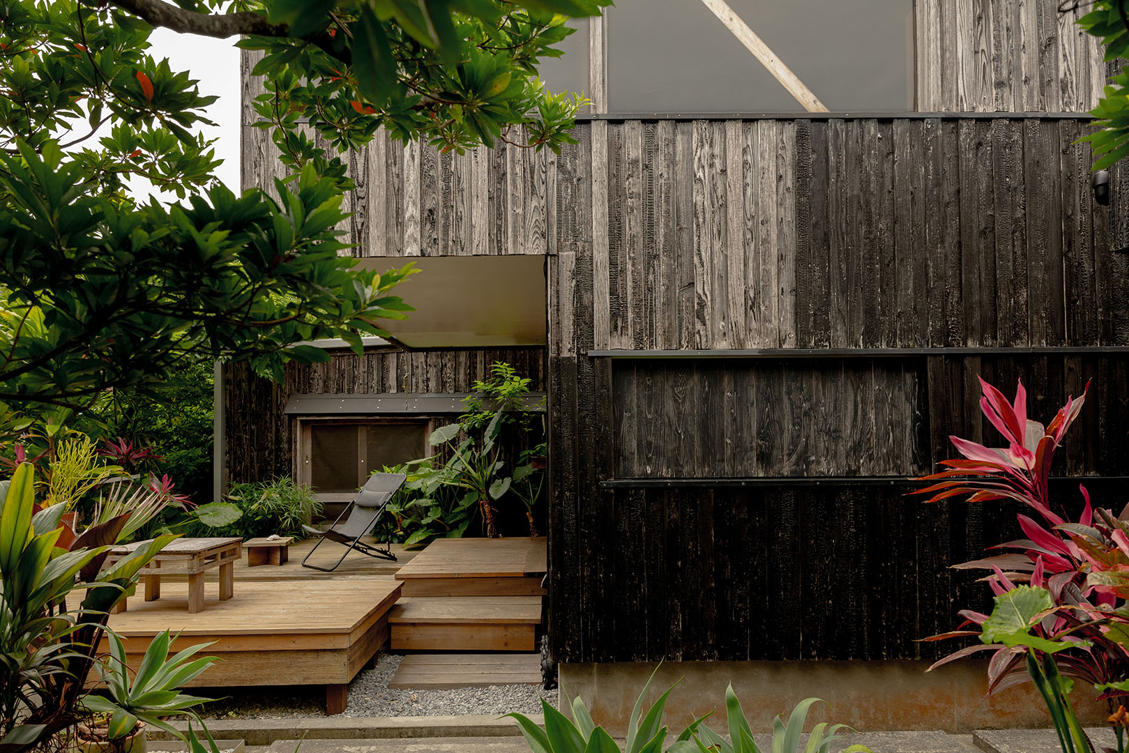 charred cedar cabins