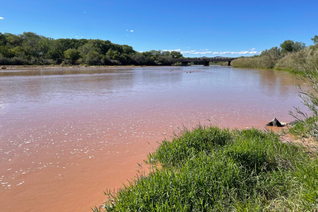 A section of the Rio Grande near Albuquerque’s Central Avenue in October. This portion of the waterway ran dry in July before eventually filling up again. Credit: Tina Deines/Inside Climate News
