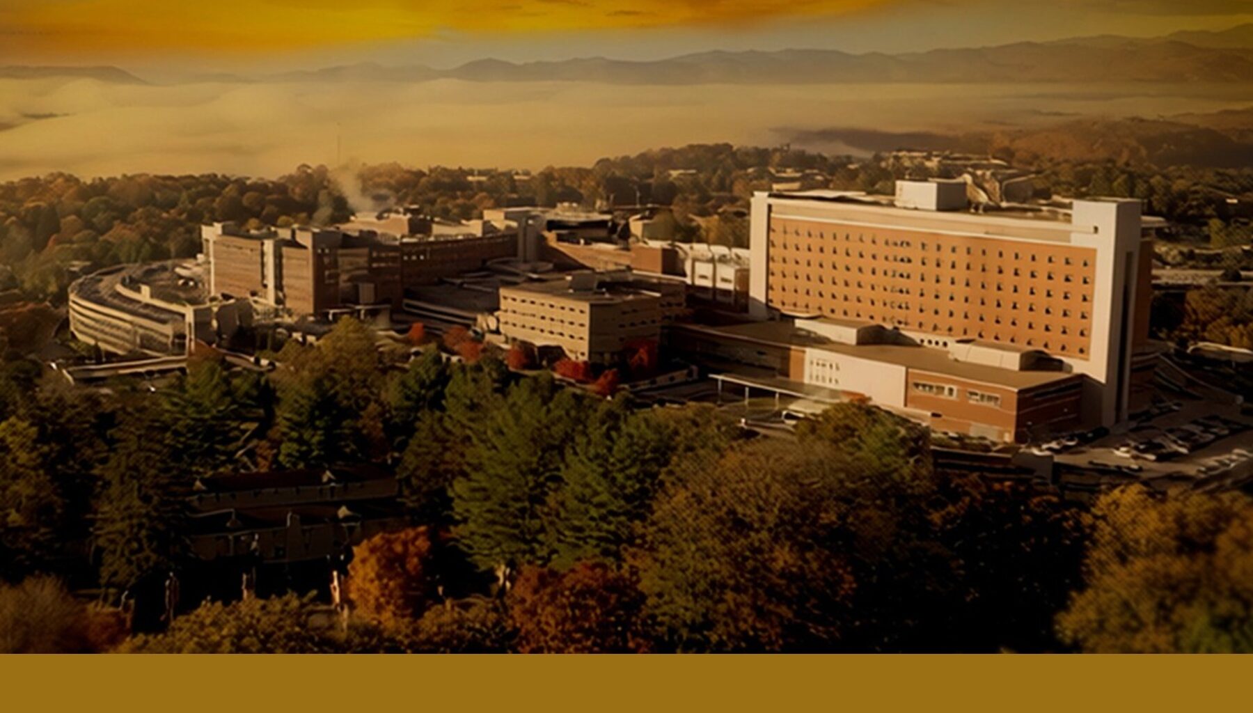 Faster, gentler knee replacement now available in Western North Carolina