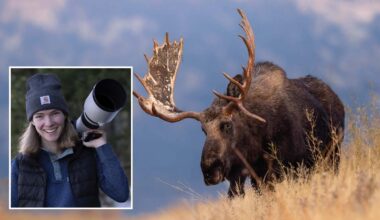 Cowboy State Daily logo