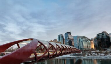 AIMCo names Ray Gilmour as permanent CEO