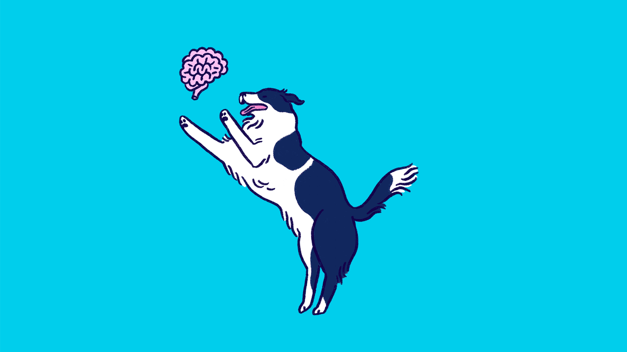 How to Reclaim Your Mind