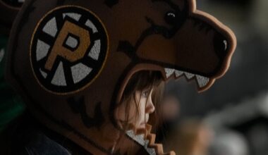 Providence Bruins Sign Former Fourth-Round Pick Defenseman