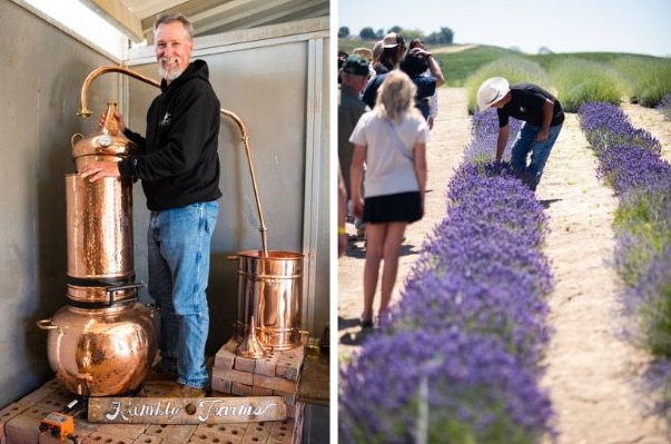 Paso Robles Daily News