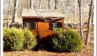 Photo Challenge #571 | 06880