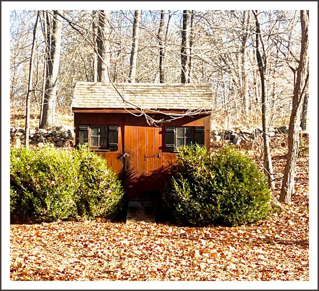 Photo Challenge #571 | 06880