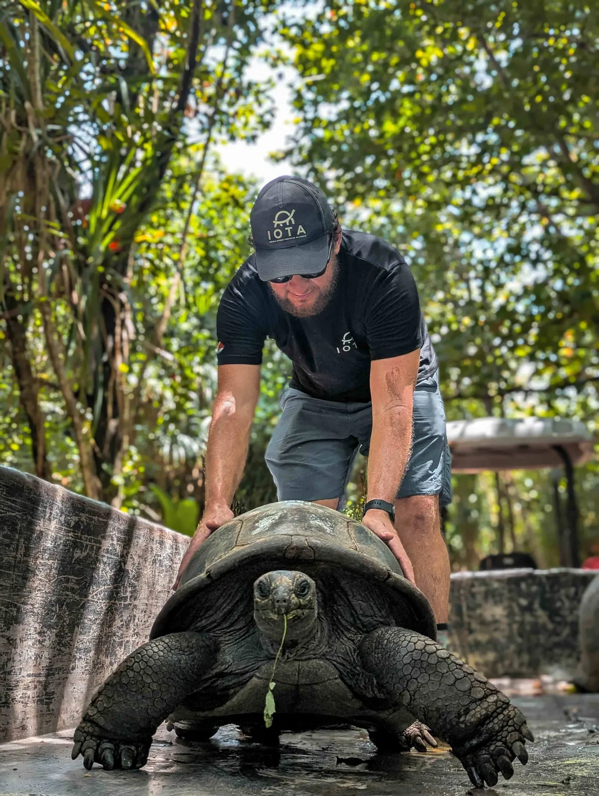 R Baxter from Indian Ocean Tortoise Alliance moving a tortoise from quarantine