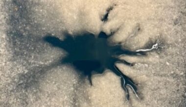 A dendritic shaped dark spot is seen against an icy surface