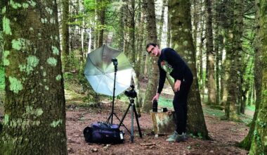"I was attacked by a swarm of wasps in a bamboo forest in South Korea. I still remember how fast I had to run."