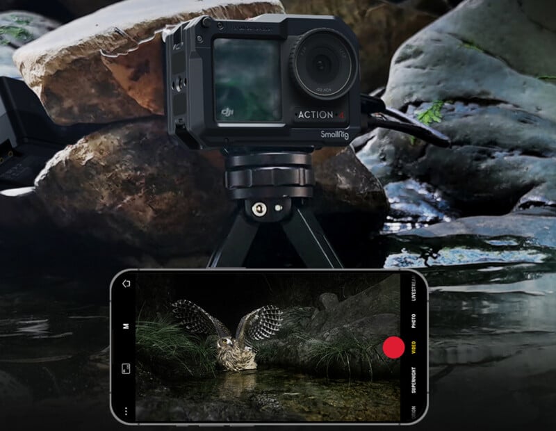 A camera mounted on a tripod is positioned by a rocky stream, filming an owl. The owl appears on the smartphone screen in front, showing a recording interface with a large red record button.