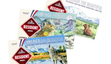 Boulder artist selling stickers to cover park passes – BizWest