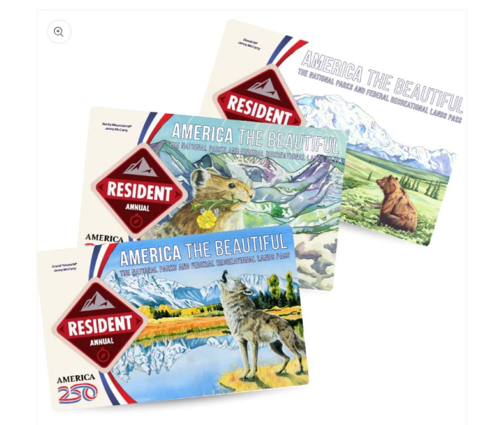 Boulder artist selling stickers to cover park passes – BizWest