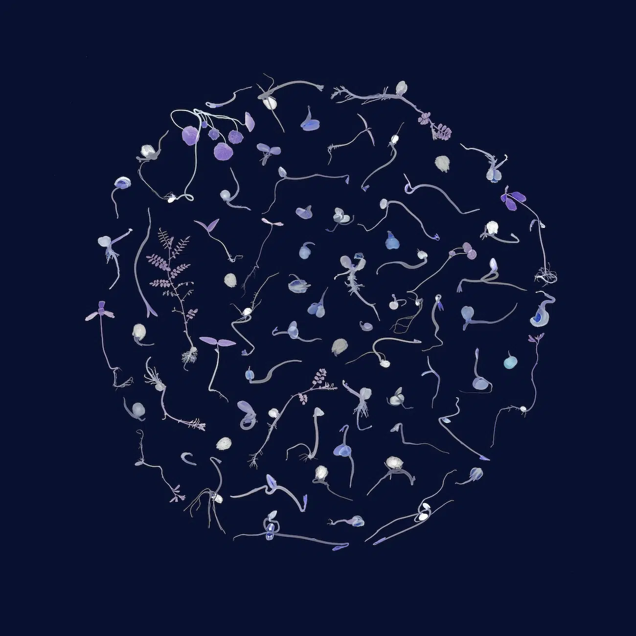 2025 Winners of the World's Longest-Running Photo Prize