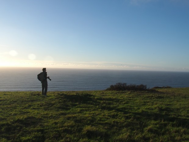 Wildlife photographer Leo Dale explores California's North Coast (Leo Dale)