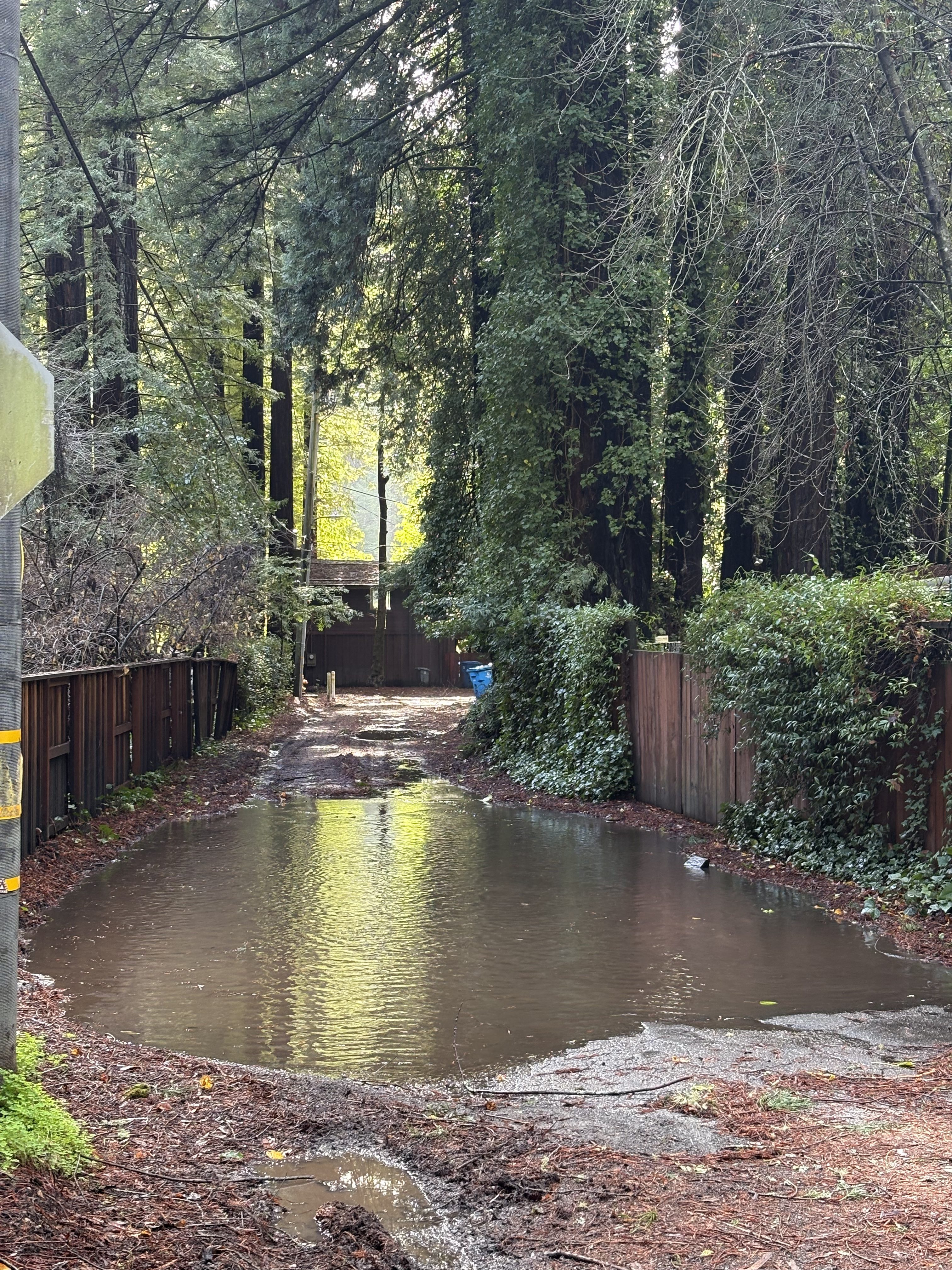 A driveway along Highway 116 in Guerneville was flooded from...