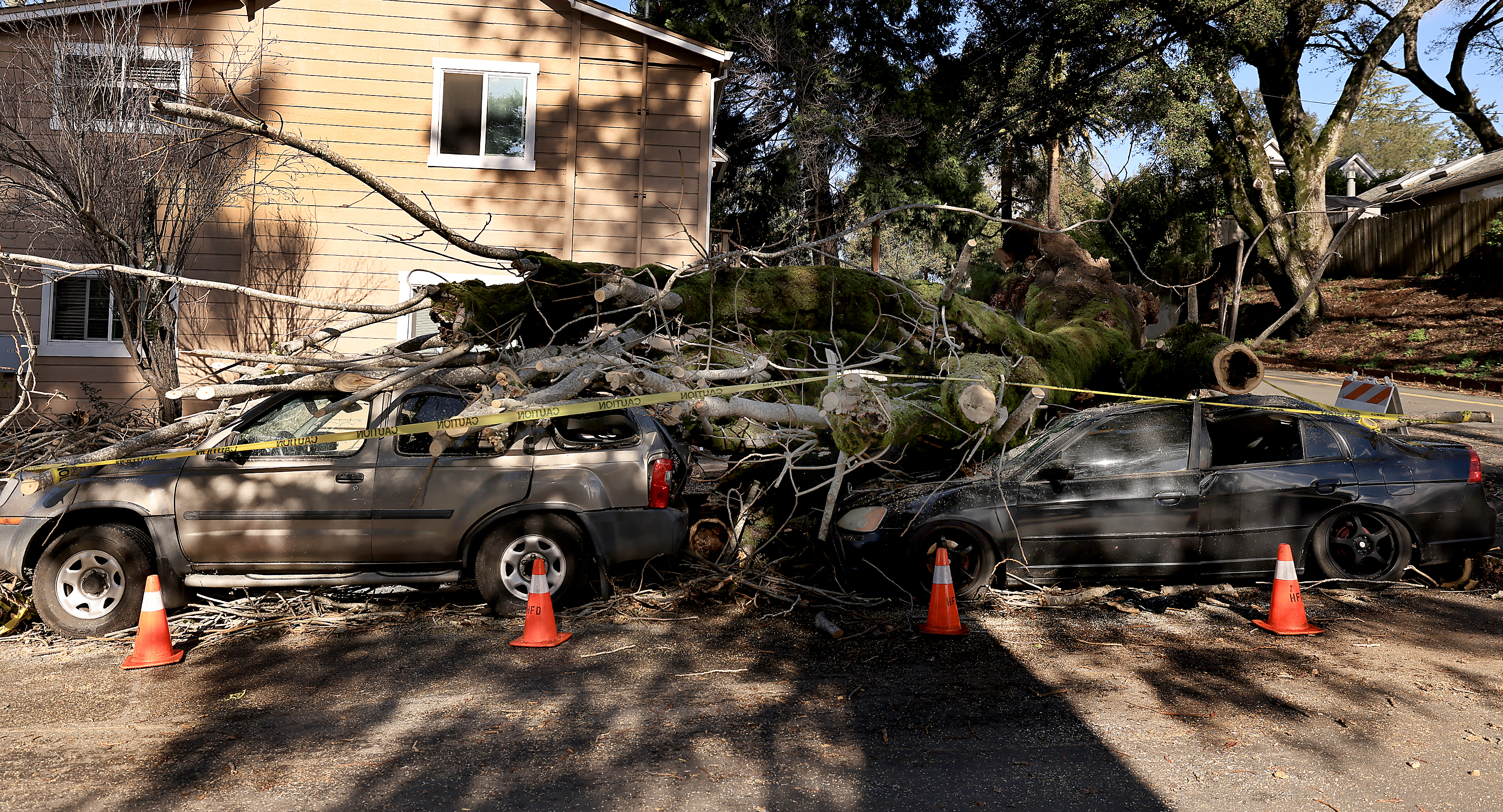 A large tree crushed two vehicles after strong winds blew...