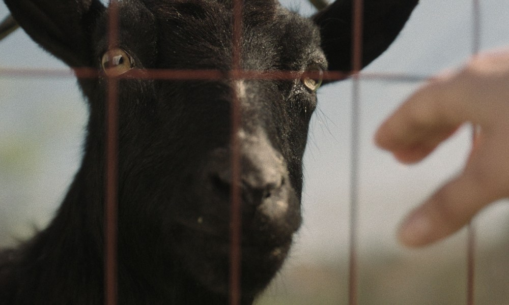 'The Confession' Trailer - Pied Piper Horror Movie Hits Digital Next Month