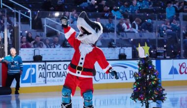 A Christmas present for all 32 NHL teams