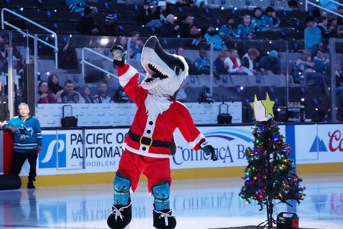 A Christmas present for all 32 NHL teams