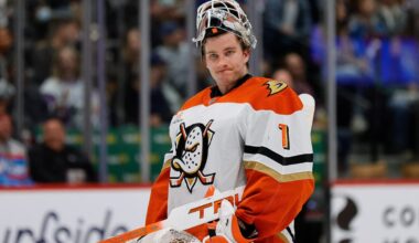 Ducks activate Lukas Dostal off injured reserve