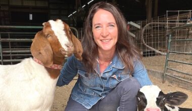 Washington state veterinarian clears Santa’s reindeer for entry