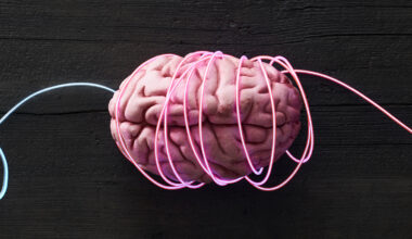 'Mini-Brains' Reveal Hidden Signals of Schizophrenia And Bipolar Disorder : ScienceAlert