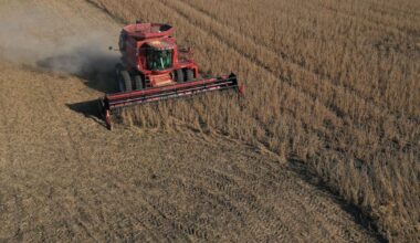 Ohio farmers see one-year, 74% loss in Chinese sales due largely to Trump tariffs, report shows