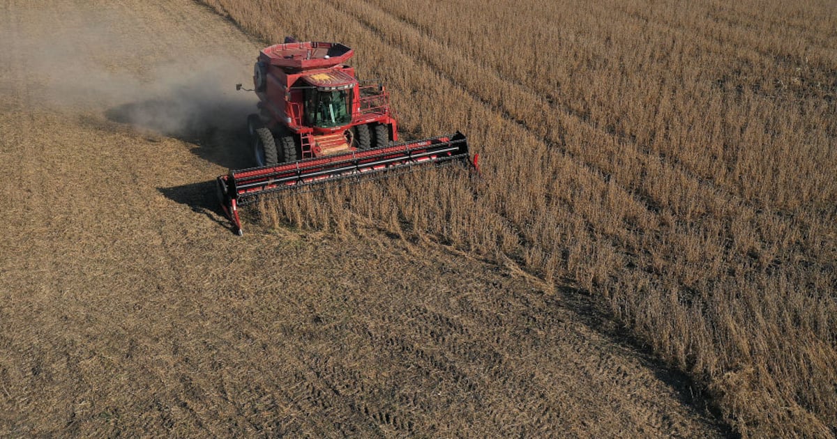 Ohio farmers see one-year, 74% loss in Chinese sales due largely to Trump tariffs, report shows