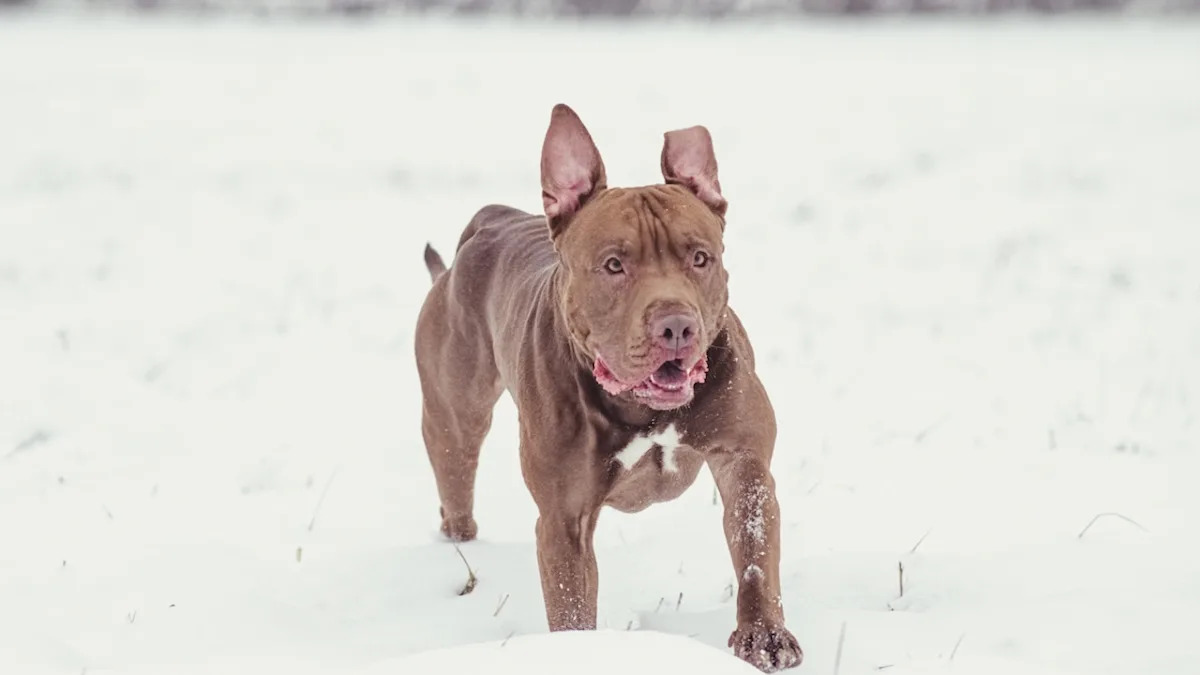 Yahoo lifestyle home