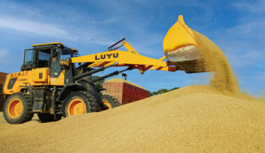 Autumn grain purchases exceed 200 mln tonnes in China