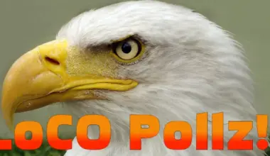 POLL! Which is the Best Eagle? | POLLZ | Lost Coast Outpost