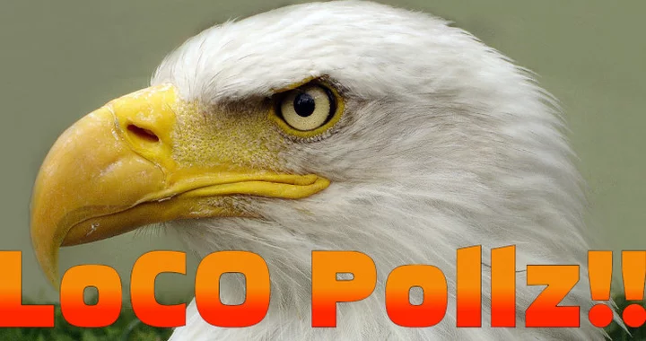 POLL! Which is the Best Eagle? | POLLZ | Lost Coast Outpost