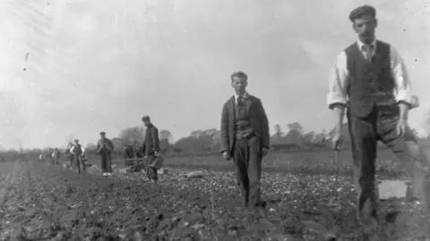 West Sussex Record Office A black and white photo of men planting potatoes.