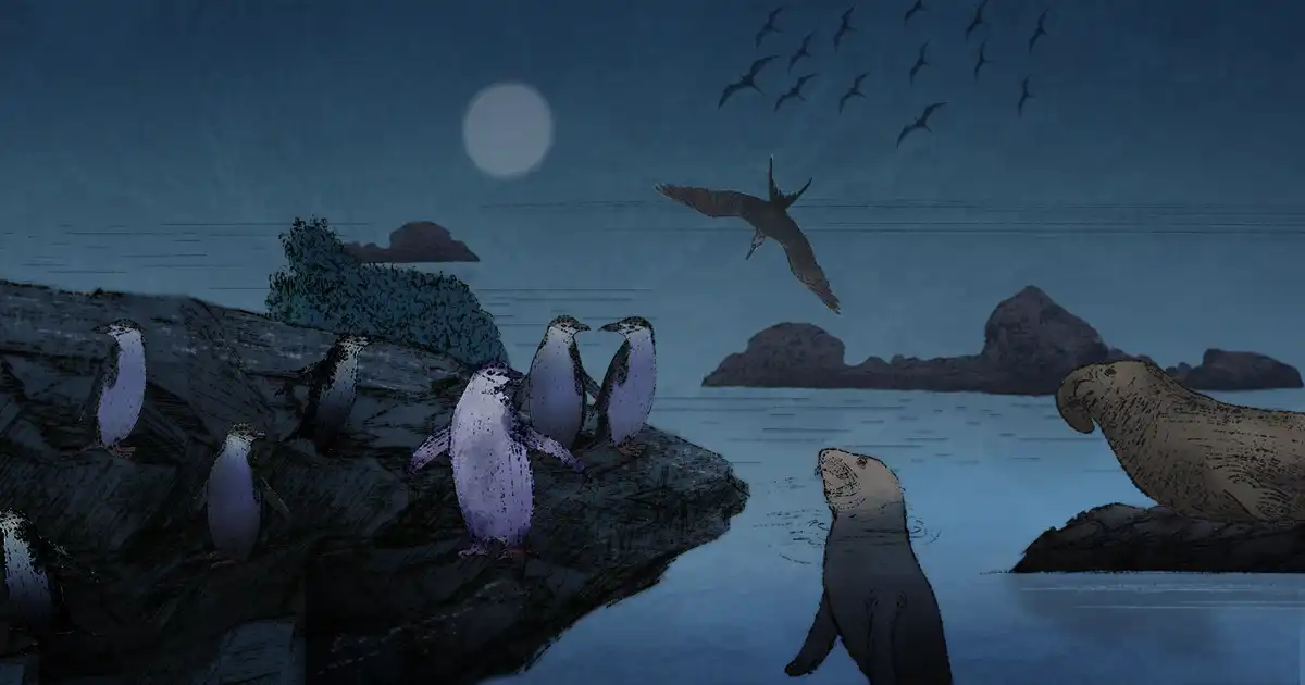 What tiny brain monitors are teaching us about extreme animal sleep habits