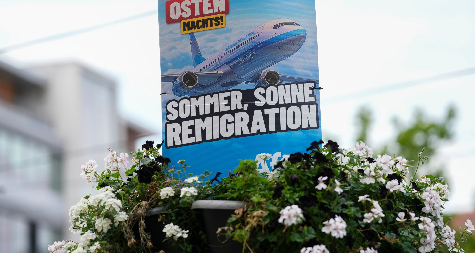 What is remigration, the far-right fringe idea going mainstream? | Migration News