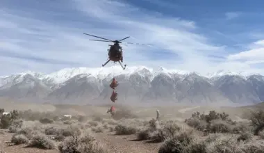 CDFW to Conduct Helicopter Capture-and-Collar Efforts for Deer, Elk and Gray Wolves in Humboldt County and Across Northern California | Lost Coast Outpost